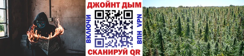 Конопля марихуана  Купить закладки  Сарапул 